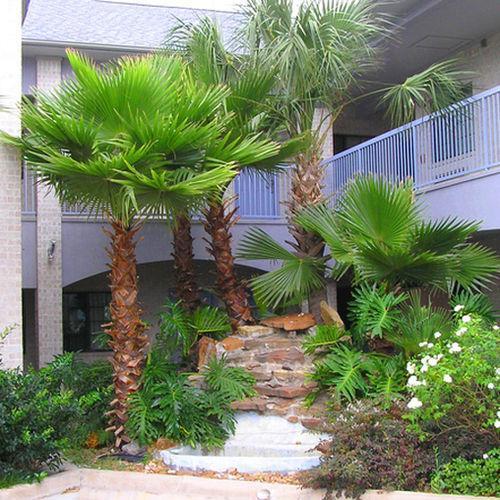 Scott Inn & Suites - Downtown Houston Kültér fotó